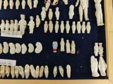 a lot of small figurines displayed in a display case