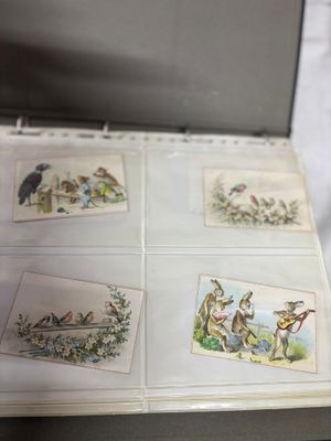 four cards in a box with pictures of animals on them