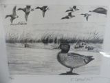 a drawing of ducks flying over a body of water