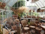 many pots and chairs in a greenhouse with plants