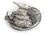 une assiette en argent ornée d'un oiseau sur un fond blanc