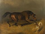 tableau représentant un cheval et un chien courant dans un champ