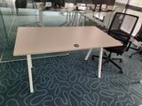 tables and chairs in an office with glass walls and blue carpet