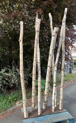 1 Décor ou sculpture naturelle contemporaine à base de tronc…