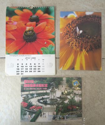 trois calendriers posés sur une table, avec une image représentant une fleur et un papillon