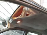 a dog that is sitting in the back seat of a car