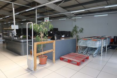 une plante en pot posée sur une table au milieu d'une pièce