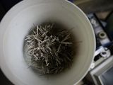a white bowl filled with pins and a camera