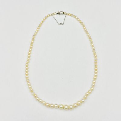 a white pearl necklace with a silver clasp on a white background