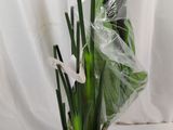 un vase blanc avec quelques fleurs à l'intérieur, posé sur une table