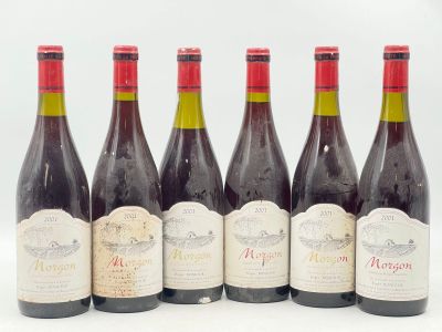 six bouteilles de vin sont alignées sur une surface blanche