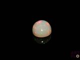 an oplite in the dark with a black background