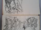 deux pages d'un livre comportant des dessins représentant une femme et un homme