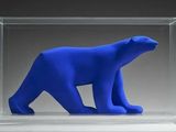 un ours polaire bleu dans une boîte transparente posée sur une table