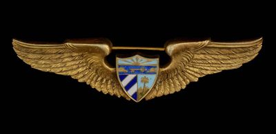 an image of a gold and blue wing badge on a black background