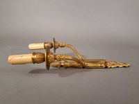 Paire de bras de lumière/appliques en bronze doré à deux bra… (photo 5)