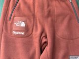 the north face flee pants