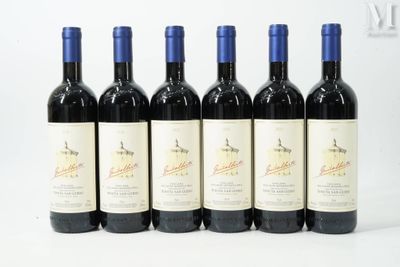 six bouteilles de vin sont alignées sur une surface blanche