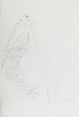 un dessin représentant un pélican posé au sol