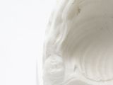 a white sculpture of a shell on a white surface
