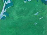 a painting of a green landscape with trees and a rainbow in the sky