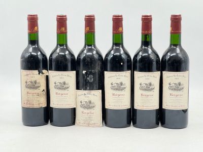 six bouteilles de vin sont alignées sur une surface blanche