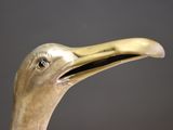 a close up of a bird with a very long beak