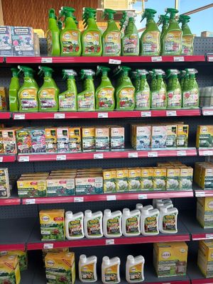 many bottles of cleaning products on the shelves in the store