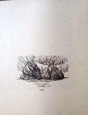 dessin représentant un cheval couché par terre dans un champ d'herbe
