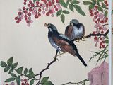 two birds sitting on a branch of a tree with berries
