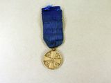 a gold medal on a blue ribbon on a white surface