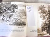 an open book with a picture of a tree in it