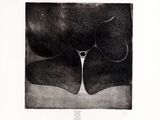une image représentant un dessin en noir et blanc d'une fleur