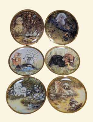 GIORDANO - Série "Bird Watching"
