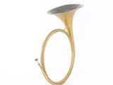 an image of a brass instrument on a white background