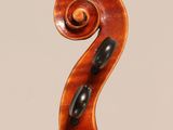 a close up of the back of a violin