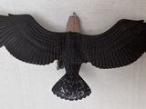 a black bird that is hanging on the wall
