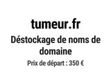 Photo 1/1 du lot