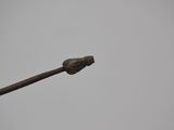 a bird that is sitting on top of a stick