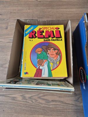 Ensemble d'une trentaine de BD Pif, Hercule, Rémi, Tarzan. - Photo 1