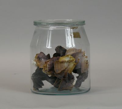 a glass jar filled with small pieces of food