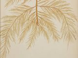 a drawing of a branch of a tree with leaves on it