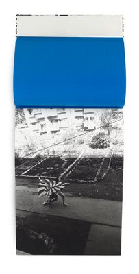 une image représentant une photo en bleu et blanc d'un skateboard sur un trottoir