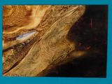 a picture of a close up of a piece of wood