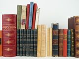 many books that are lined up together on a shelf