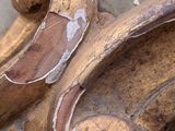 a close up of a decorative object on the ground