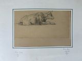 a drawing of a cow laying down on the ground