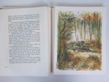 an open book with a drawing of a forest scene and a picture of a bench