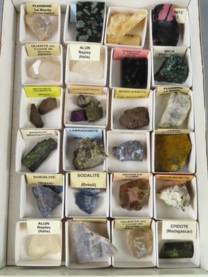 une boîte remplie de différentes sortes de roches et de minéraux