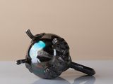 a black apple with a bird on it sitting on a table
